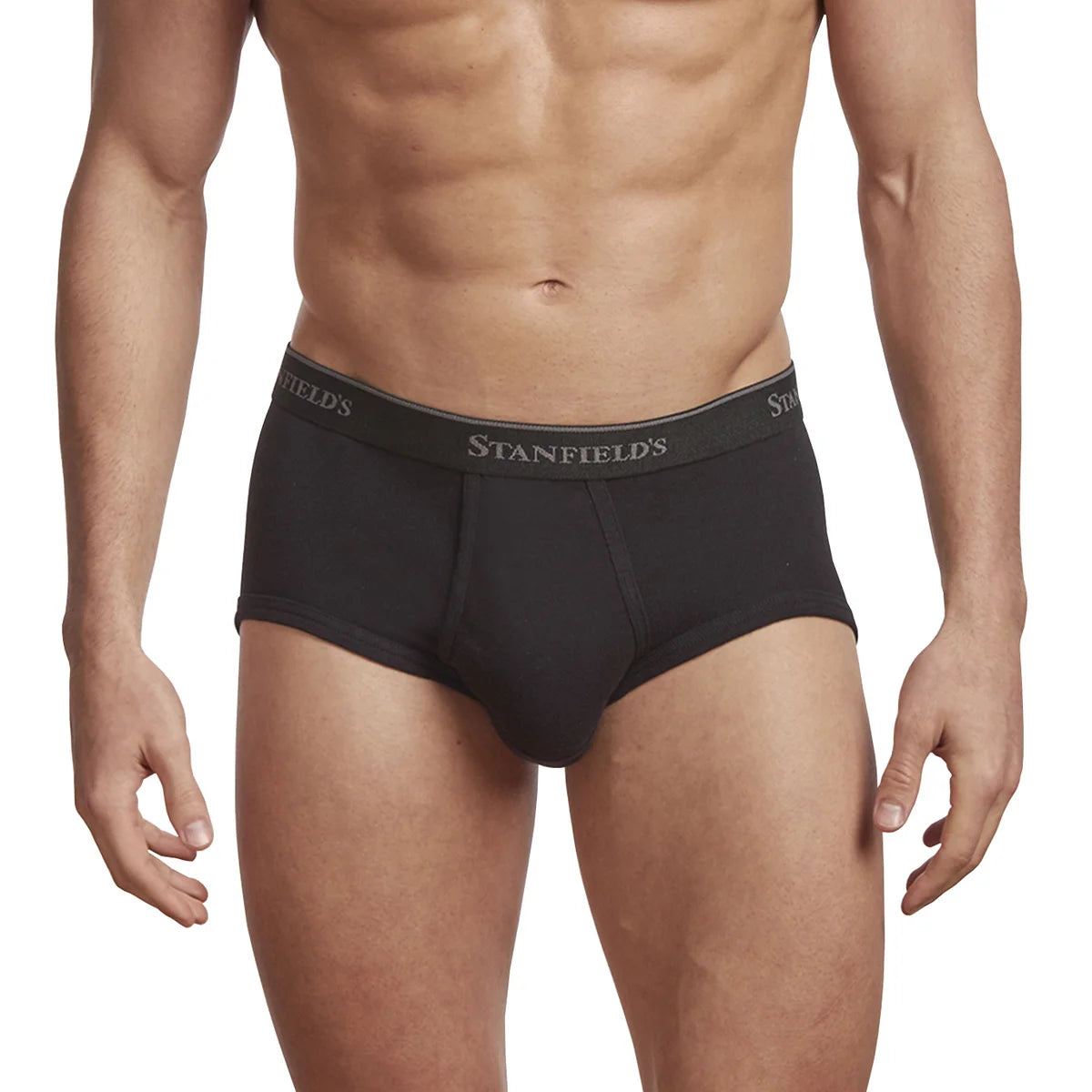 Stanfield's Men's Organic Briefs