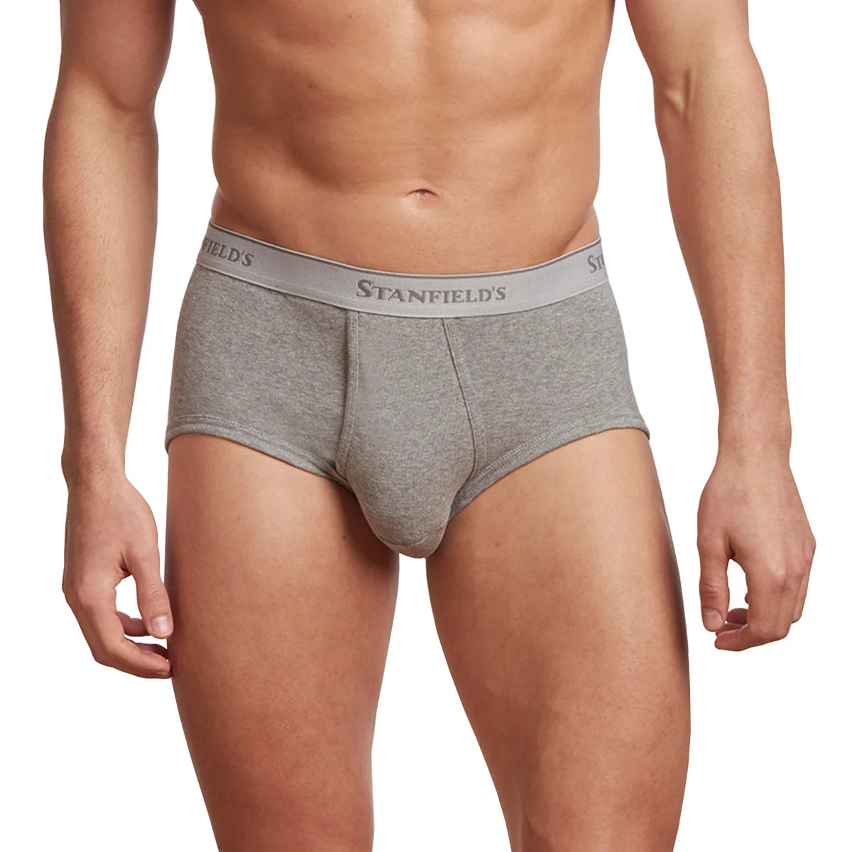 Stanfield's Men's Organic Briefs