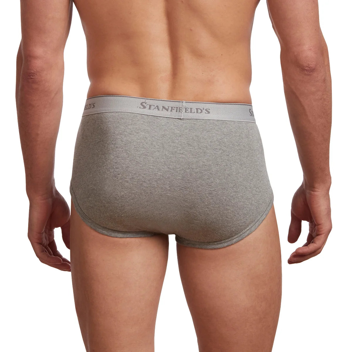 Stanfield's Men's Organic Briefs