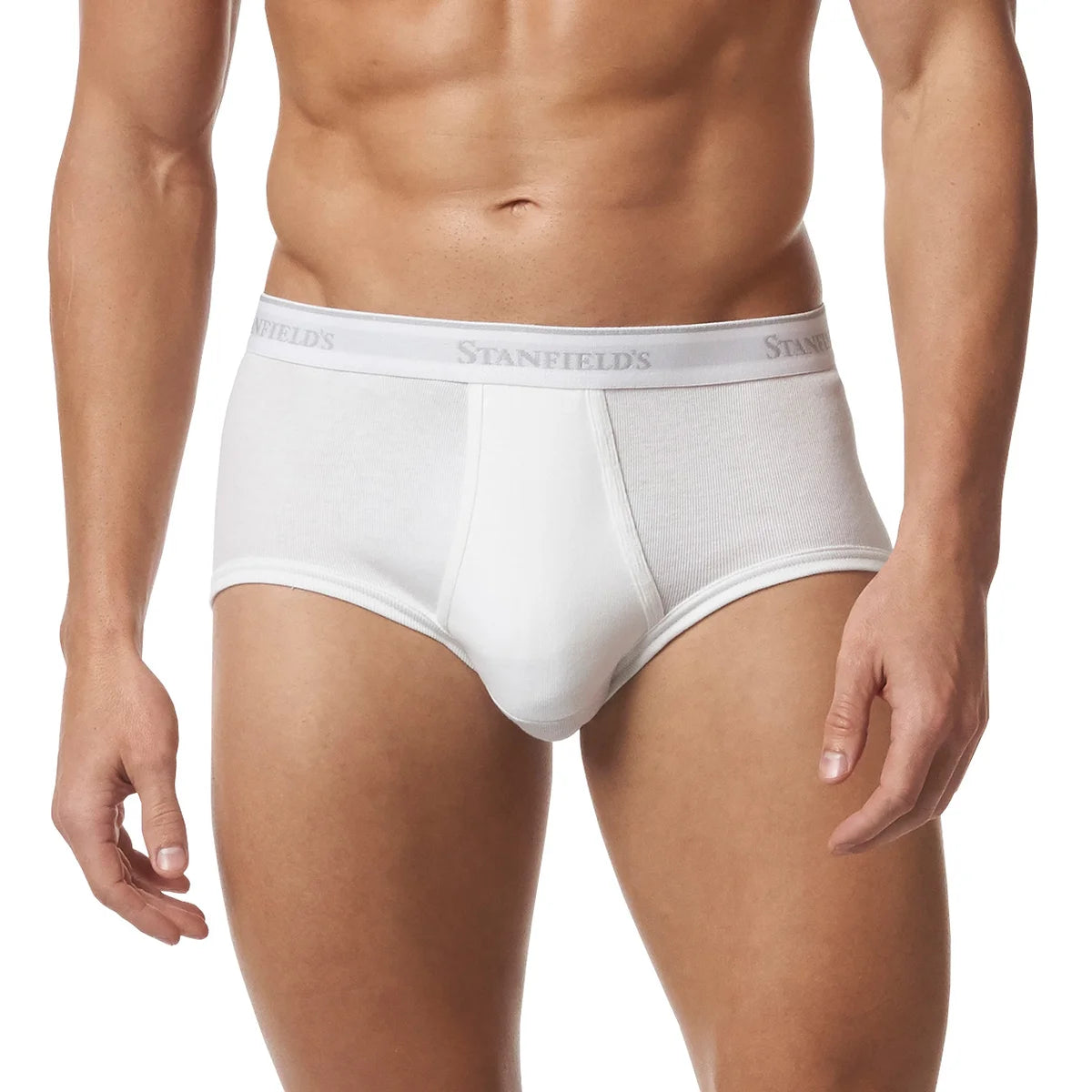 Stanfield's Men's Organic Briefs