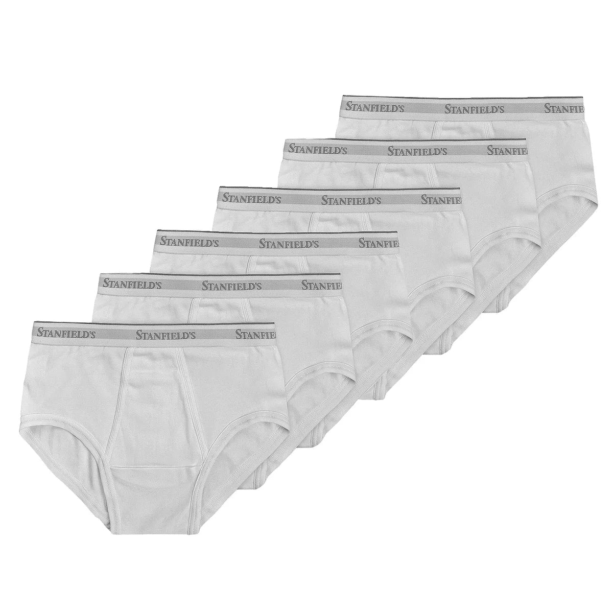 Stanfield's Men's Organic Briefs