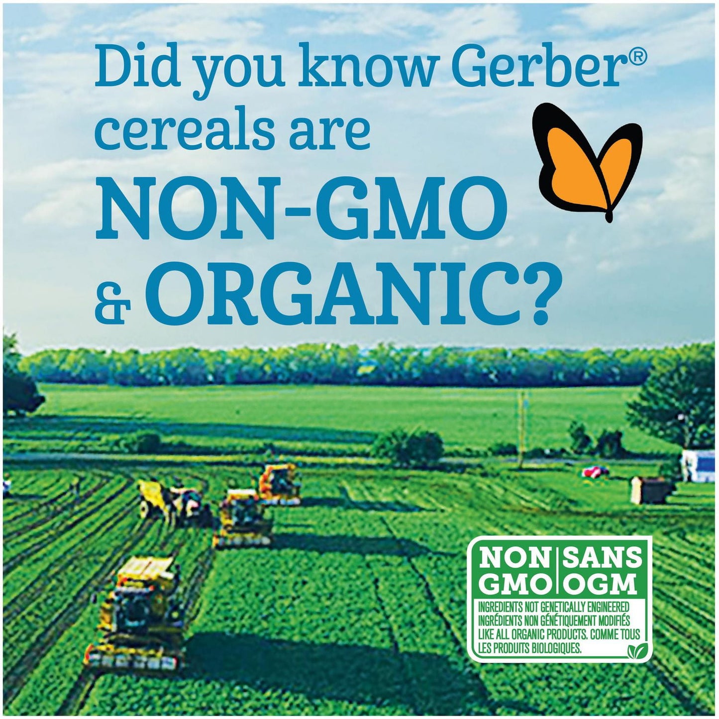 Gerber Organic Baby Cereal