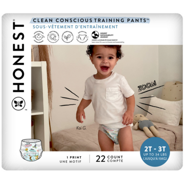 The Honest Company Training Pants