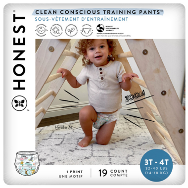 The Honest Company Training Pants