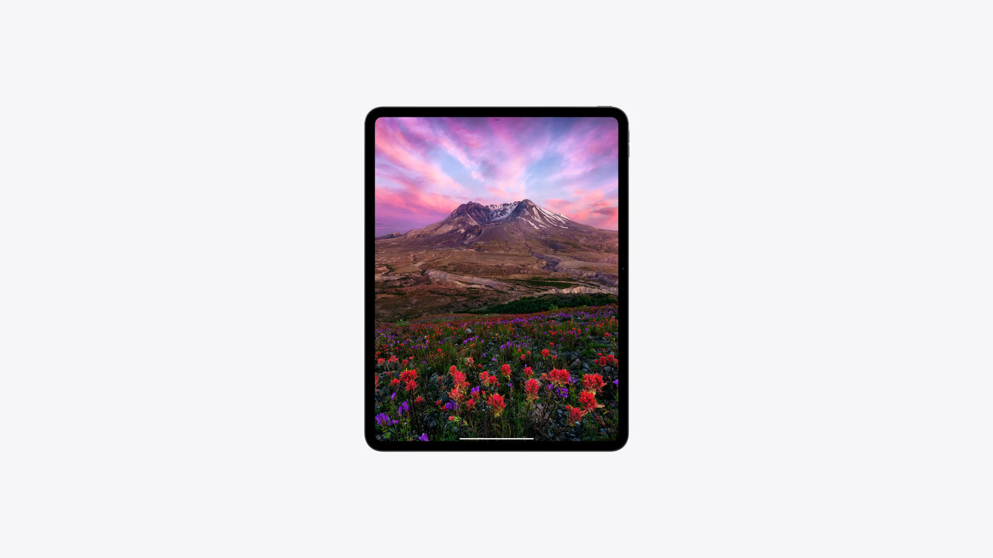 iPad Pro (11 inch, Space Black)