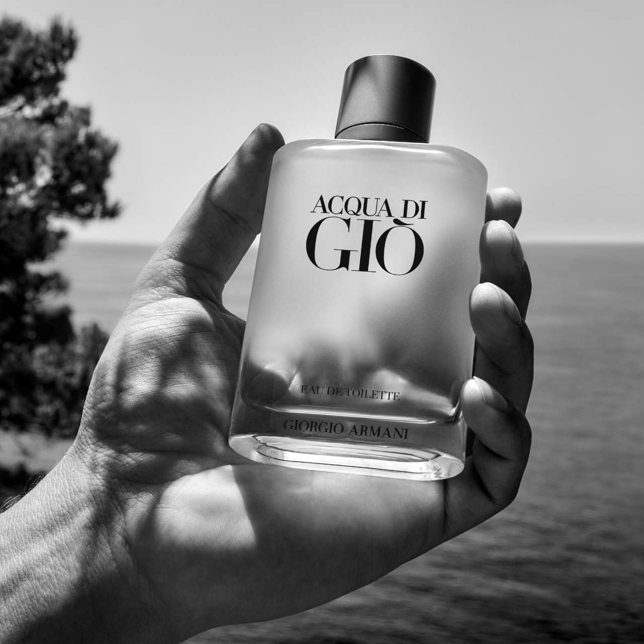 Acqua di Giò Eau de Toilette by Armani Beauty