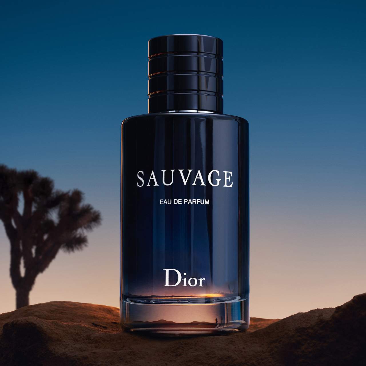 Sauvage Eau de Parfum by DIOR