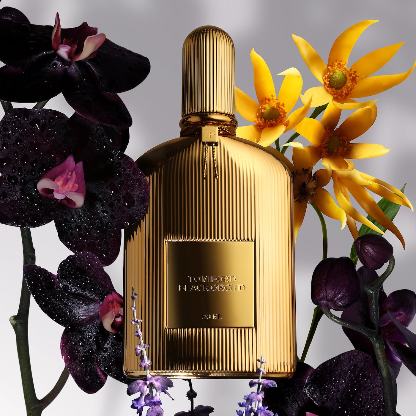 Black Orchid Parfum Fragrance by TOM FORD