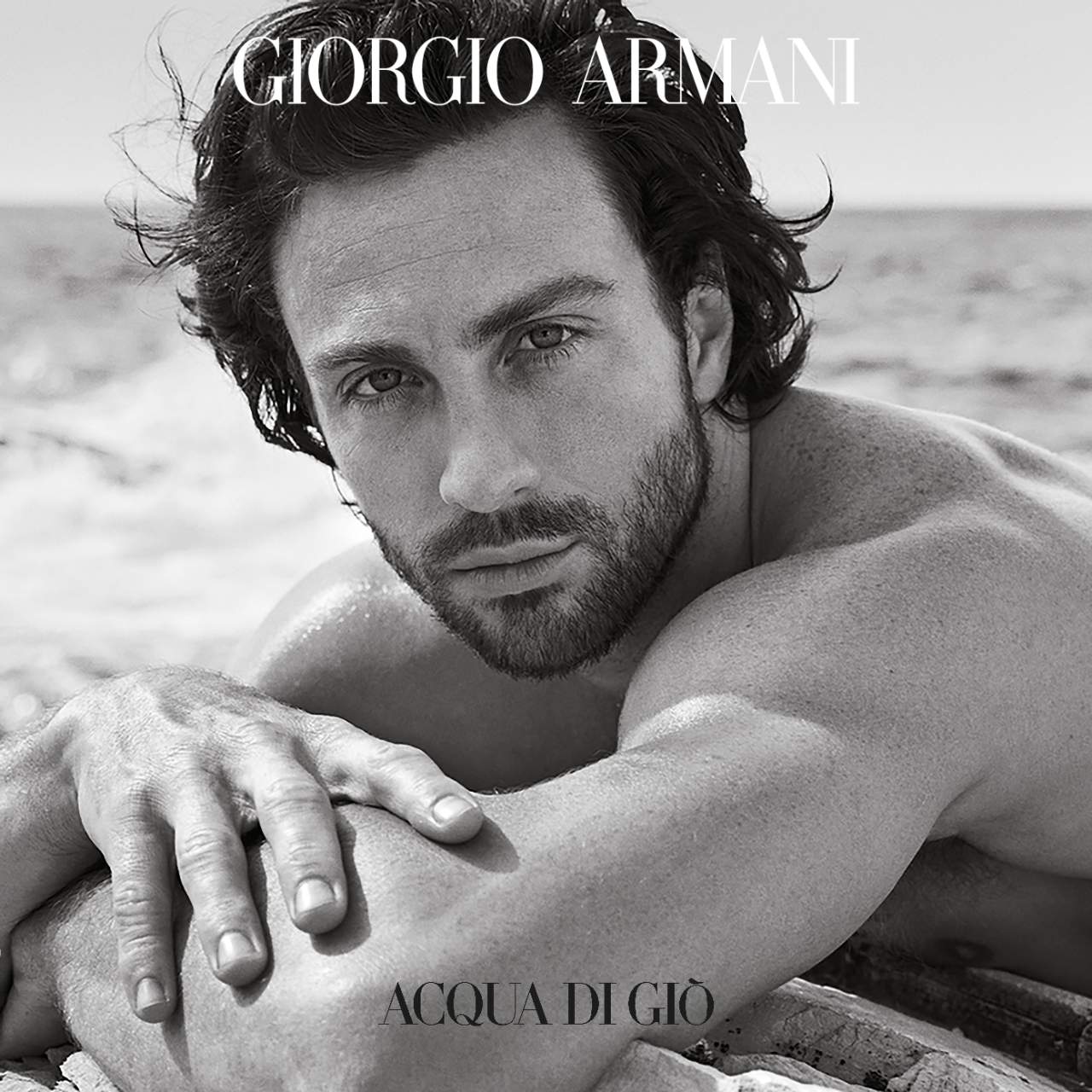 Acqua Di Gio Parfum by Armani Beauty